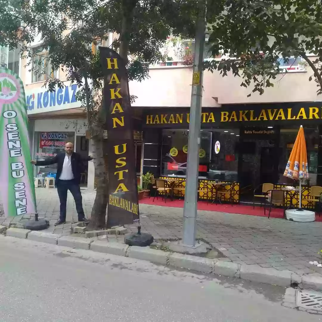 Tatlıcı Yelken Bayrağı-5